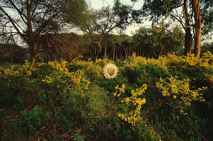 6